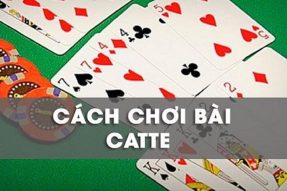 Kỹ năng chơi bài catte bất bại người chơi 789Club không thể không nắm